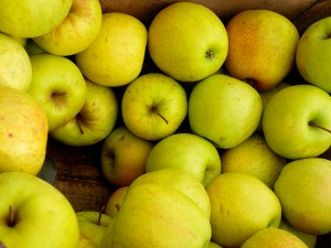 © Bburgess | Stock Free Images & Dreamstime Stock Photos