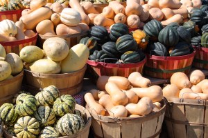 All kinds of winter squash to choose from.© Richg8250 | Stock Free Images & Dreamstime Stock Photos