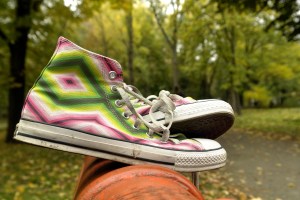 © Sorinus | Stock Free Images & Dreamstime Stock Photos