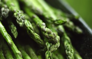 © Rgumus | Dreamstime Stock Photos & Stock Free Images