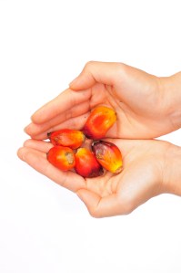 © Braendan | Dreamstime Stock Photos & Stock Free Images