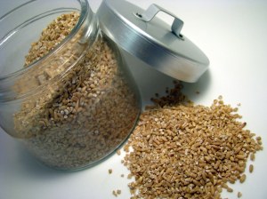 Dreamstimes photo- Sweetgoddess