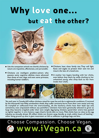 Vegetarian-why_love_one_poster_chicken_400