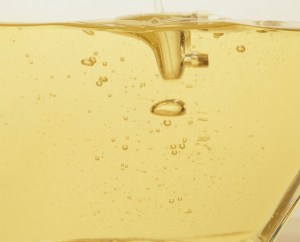 Photo courtesy CanolaInfo