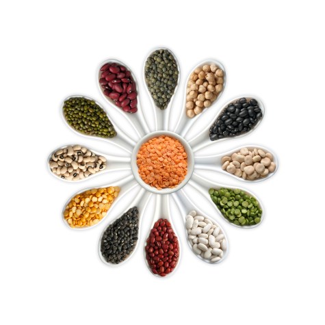 International Year of Pulses (IYP 2016)