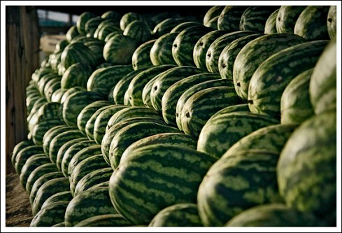  Gonzalo Viera Azpiroz 